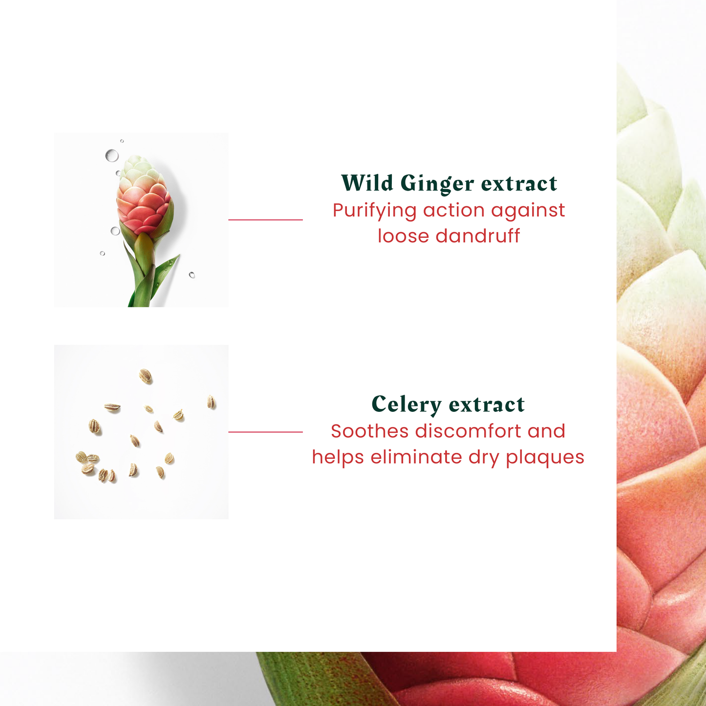 Neopur Balancing Shampoo for Oily Scalp